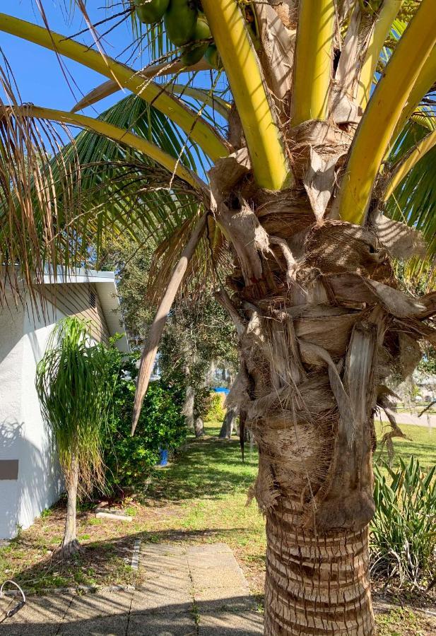Quiet Venice Retreat With Private Lanai And Pool! Eksteriør billede